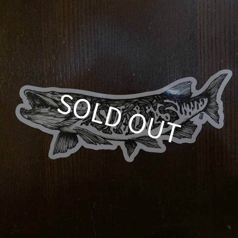 画像1: 【SIMMS】KEELER MUSKY MUSKY/STEEL STICKER (1)