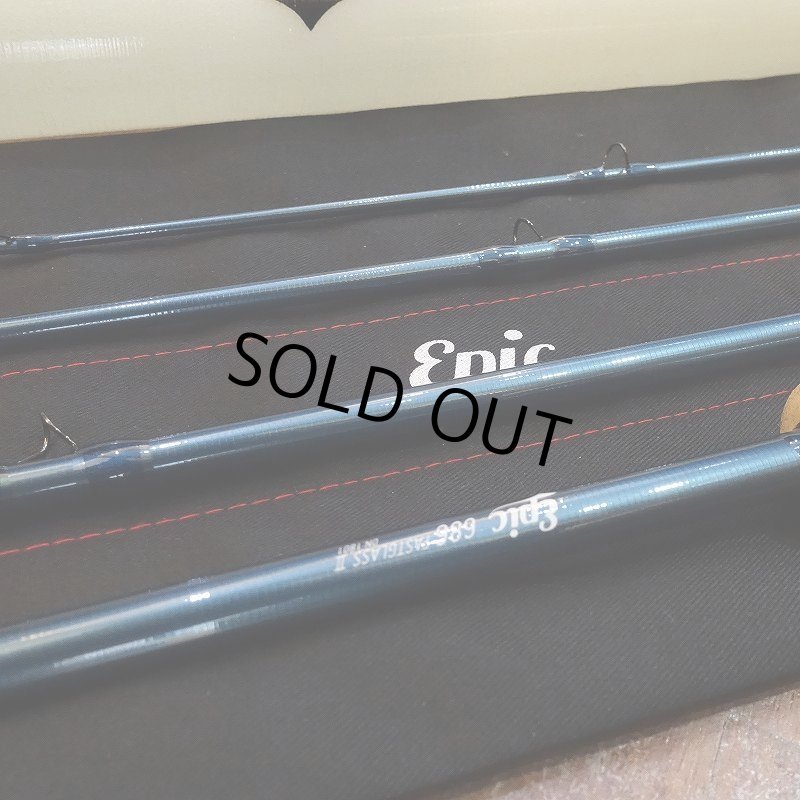 画像7: 【Epic】FastGlass II 686 Reference - Arctic (7)