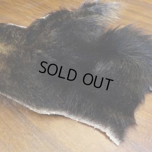 画像2: 【D】HIGUMA BELLY - No.1（ヒグマ）38*30cm