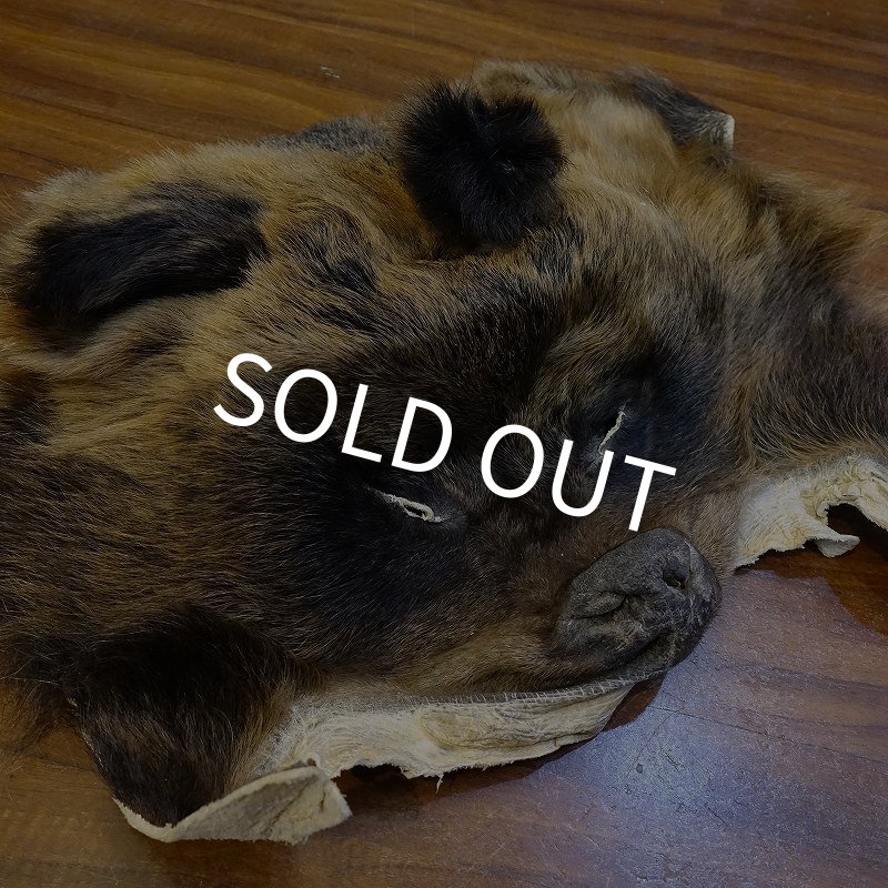 画像2: 【D】HIGUMA MASK（ヒグマ） (2)