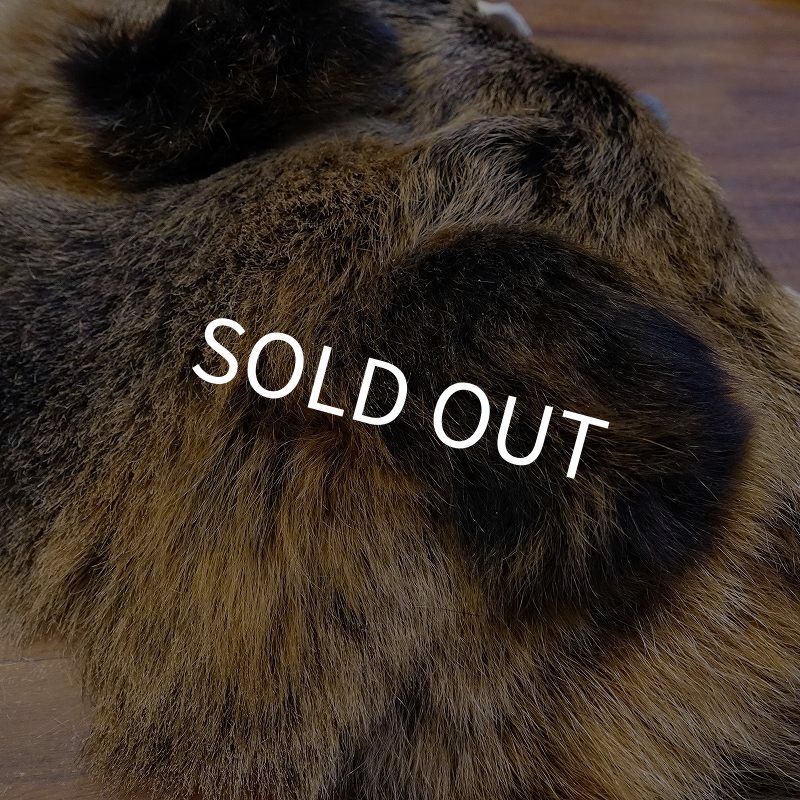 画像3: 【D】HIGUMA MASK（ヒグマ） (3)