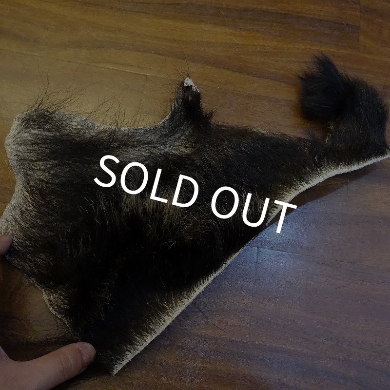 画像1: 【D】HIGUMA BELLY - No.5（ヒグマ）23*20cm (1)