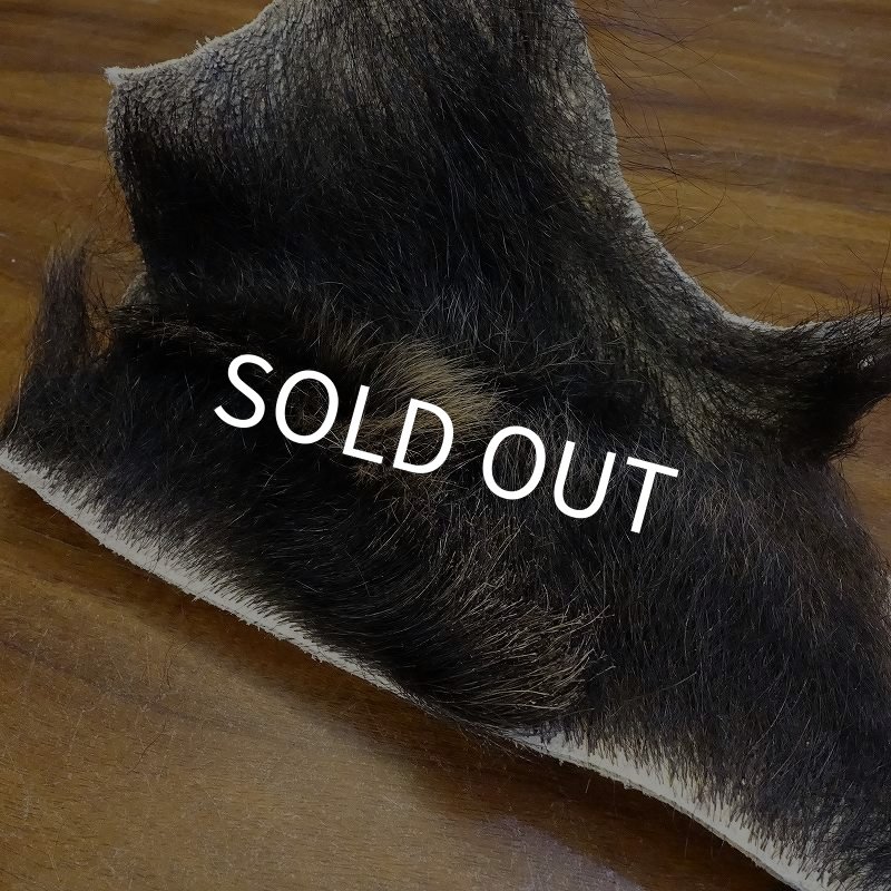 画像2: 【D】HIGUMA BELLY - No.5（ヒグマ）23*20cm (2)