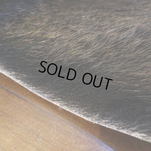 画像4: 【D】HIGUMA BELLY - No.1（ヒグマ）38*30cm