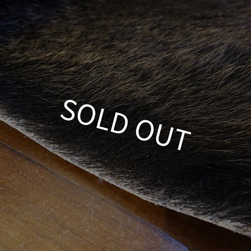 画像4: 【D】HIGUMA BELLY - No.1（ヒグマ）38*30cm (4)