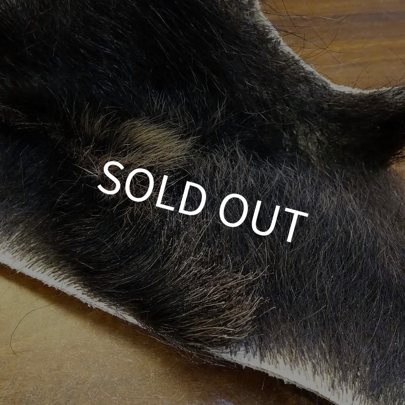 画像3: 【D】HIGUMA BELLY - No.5（ヒグマ）23*20cm (3)