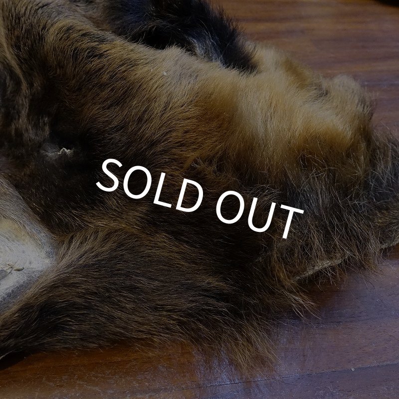 画像5: 【D】HIGUMA MASK（ヒグマ） (5)