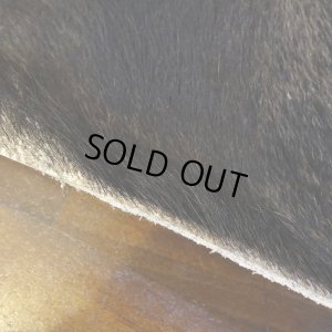 画像6: 【D】HIGUMA BELLY - No.1（ヒグマ）38*30cm