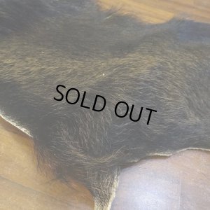 画像3: 【D】HIGUMA BELLY - No.1（ヒグマ）38*30cm