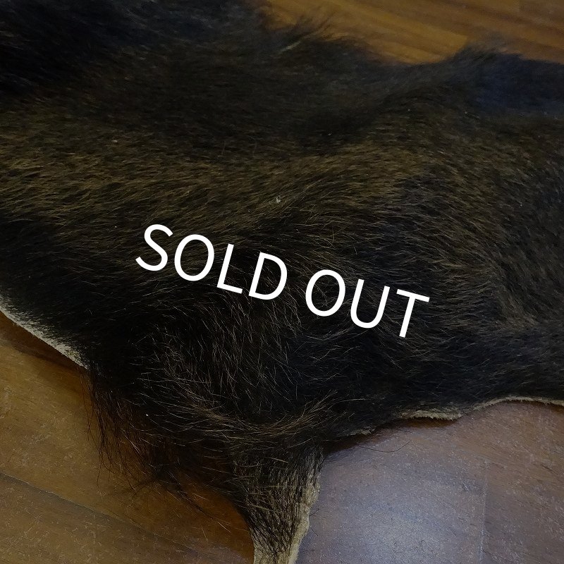 画像3: 【D】HIGUMA BELLY - No.1（ヒグマ）38*30cm (3)