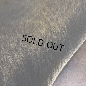 画像5: 【D】HIGUMA BELLY - No.1（ヒグマ）38*30cm