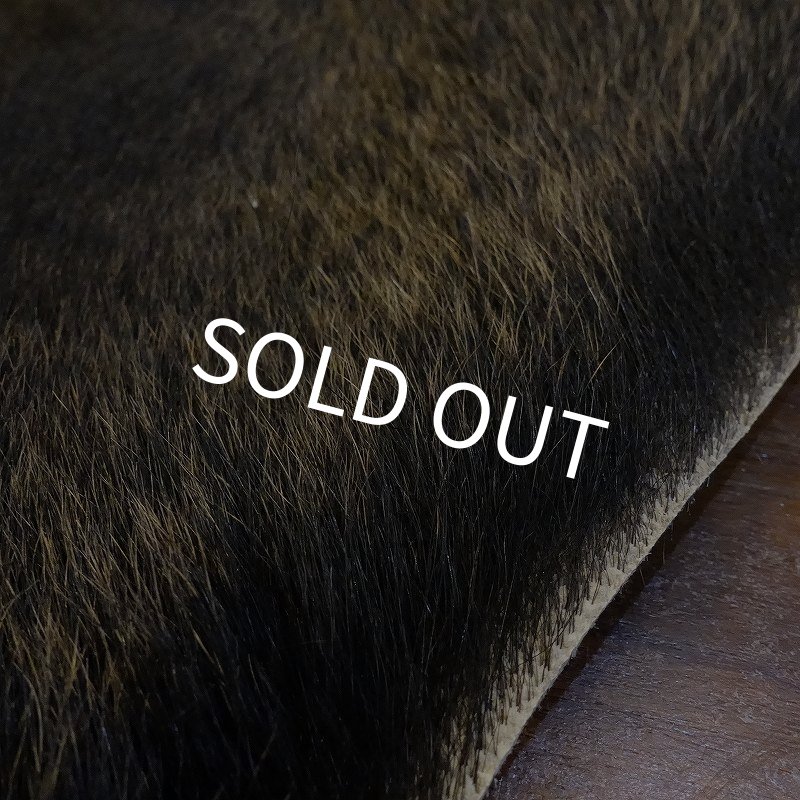 画像5: 【D】HIGUMA BELLY - No.1（ヒグマ）38*30cm (5)