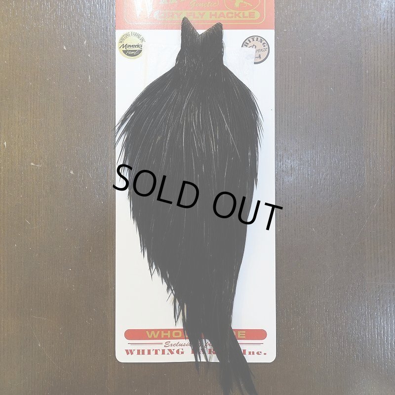 画像1: 【Whiting】ROOSTER CAPE Bronze Grade - DYED BLACK No.5 (1)