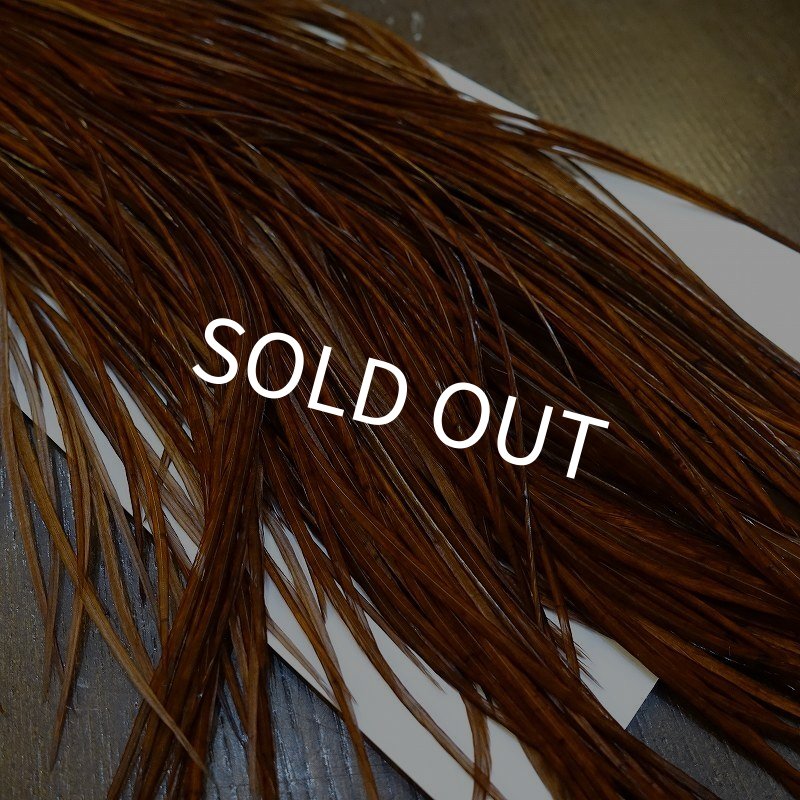 画像3: 【WHITING】High & Dry ROOSTER SADDLE - DYED COACHMAN BROWN No.2 #16 (3)