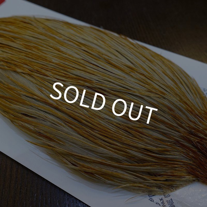 画像4: 【Whiting】ROOSTER CAPE Bronze Grade - HONEY DUN No.2 (4)