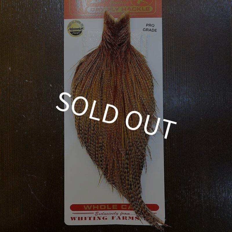 画像1: 【Whiting】ROOSTER CAPE Pro Grade - BARRED DK GINGER No.2 (1)