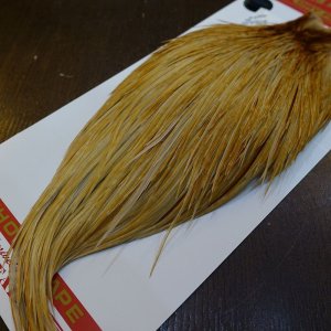 画像5: 【Whiting】ROOSTER CAPE Bronze Grade - HONEY DUN No.1