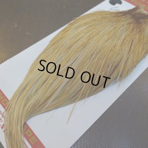 画像5: 【Whiting】ROOSTER CAPE Bronze Grade - HONEY DUN No.1