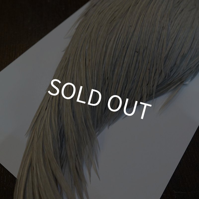 画像5: 【WHITING】High & Dry ROOSTER Cape - DYED LIGHT DUN No.1 (5)