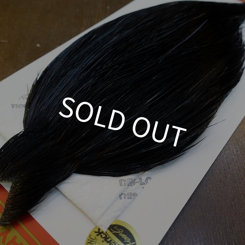 画像3: 【Whiting】ROOSTER CAPE Bronze Grade - DYED BLACK No.3 (3)