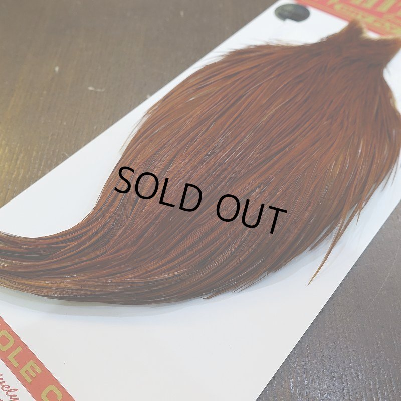 画像5: 【WHITING】ROOSTER Cape Pro Grade - NA BROWN No.1 (5)