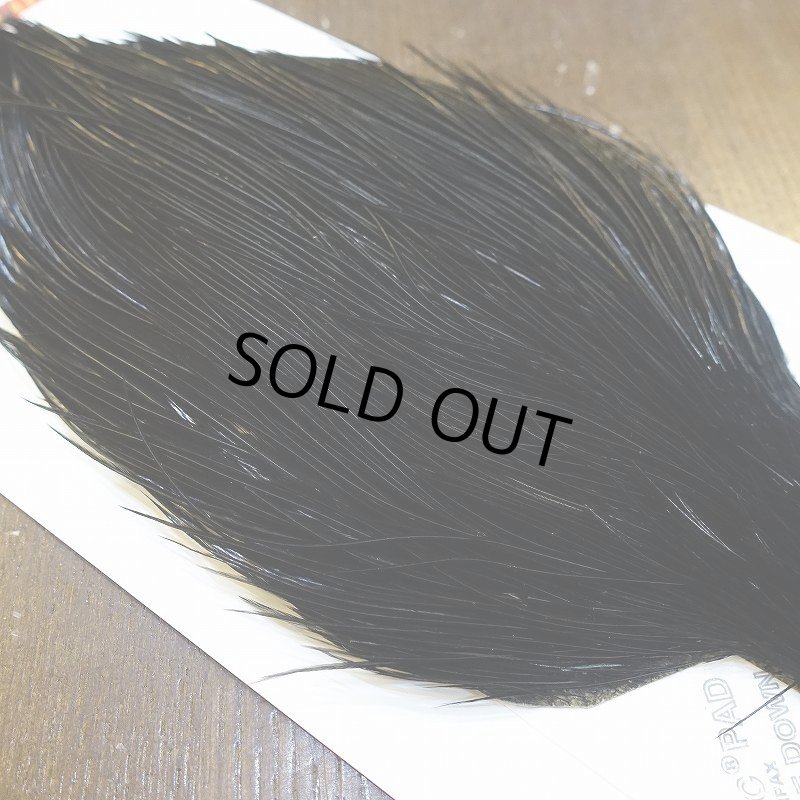 画像4: 【Whiting】ROOSTER CAPE Bronze Grade - DYED BLACK No.4 (4)