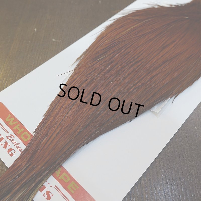 画像5: 【WHITING】ROOSTER Cape Pro Grade - NA BROWN No.2 (5)