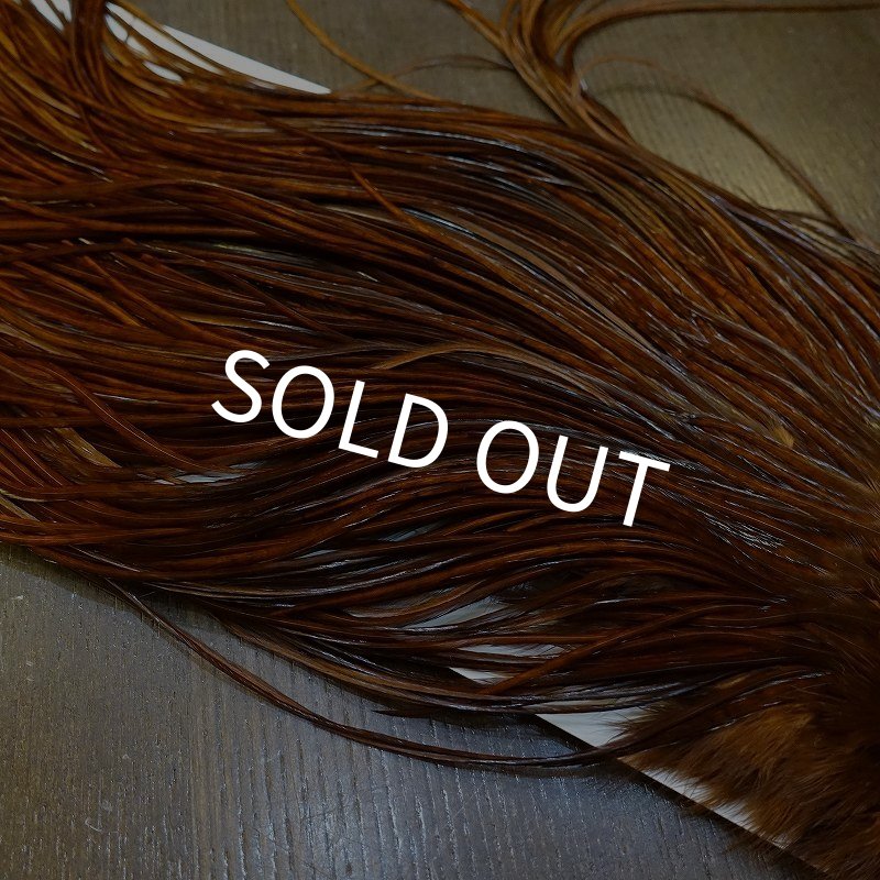 画像5: 【WHITING】High & Dry ROOSTER SADDLE - DYED COACHMAN BROWN No.2 #16 (5)