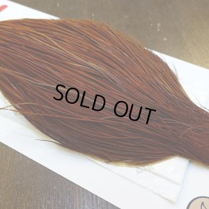 画像4: 【Whiting】ROOSTER CAPE Bronze Grade - NA BROWN No.1