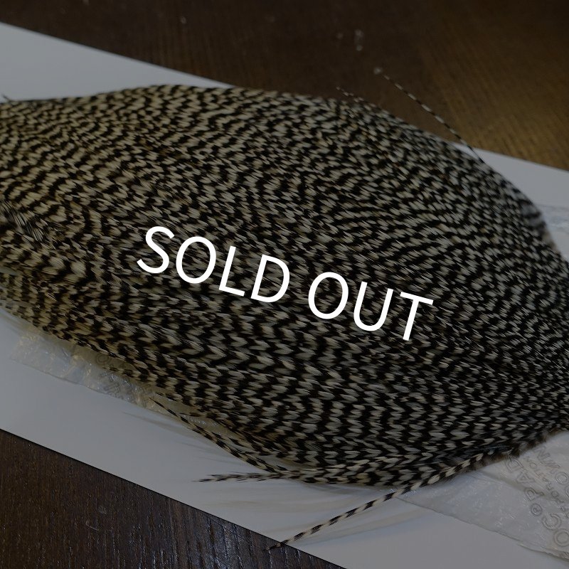 画像4: 【WHITING】High & Dry ROOSTER Cape - Grizzly No.1 (4)