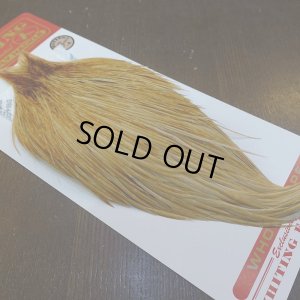 画像2: 【Whiting】ROOSTER CAPE Bronze Grade - HONEY DUN No.1