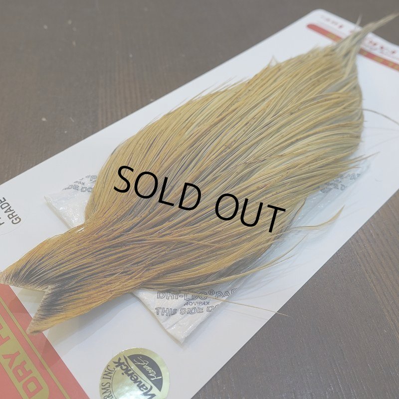 画像3: 【Whiting】ROOSTER CAPE Pro Grade - HONEY DUN No.1 (3)