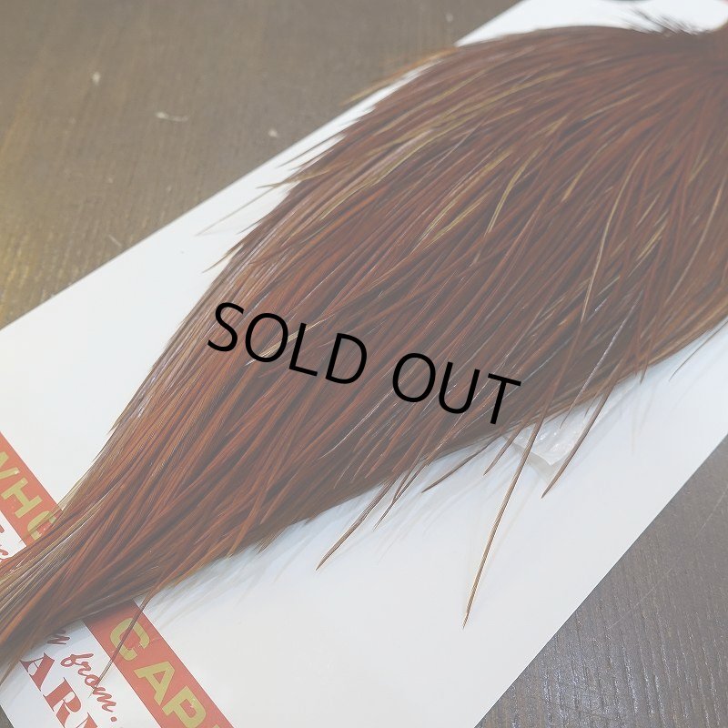 画像5: 【Whiting】ROOSTER CAPE Bronze Grade - NA BROWN No.2 (5)