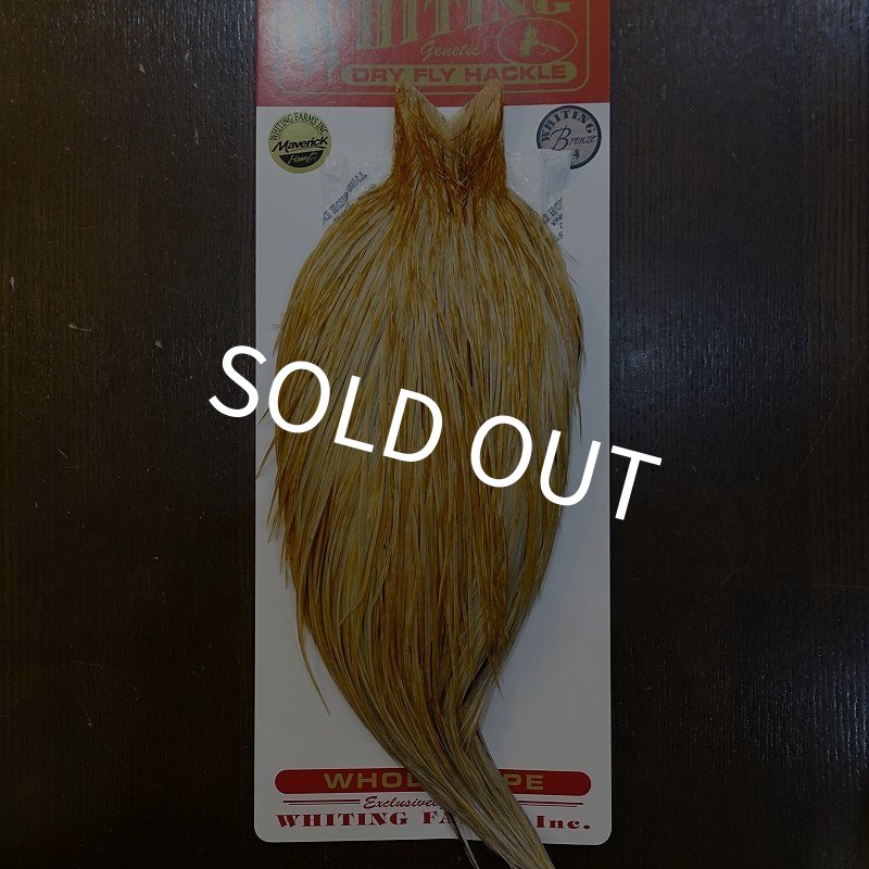画像1: 【Whiting】ROOSTER CAPE Bronze Grade - HONEY DUN No.2 (1)