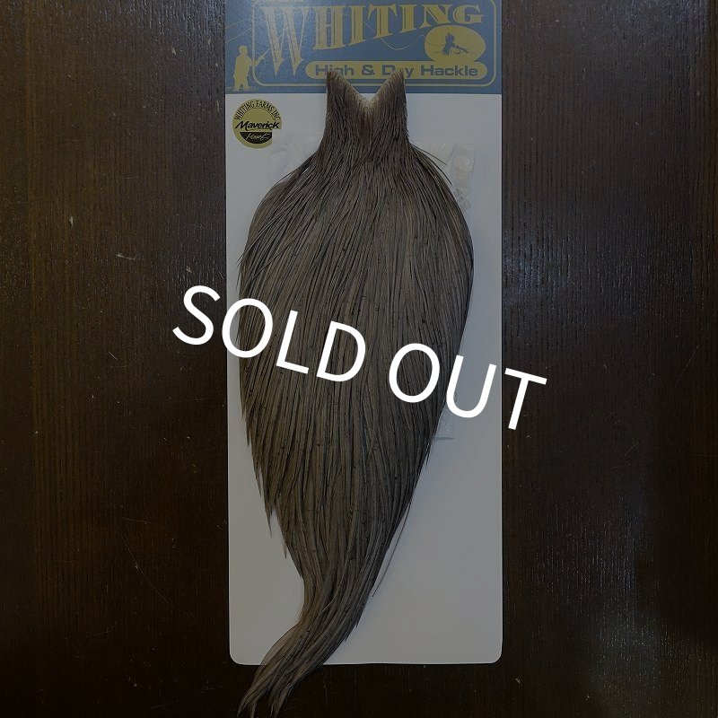 画像1: 【WHITING】High & Dry ROOSTER Cape - DYED MEDIUM DUN No.1 (1)