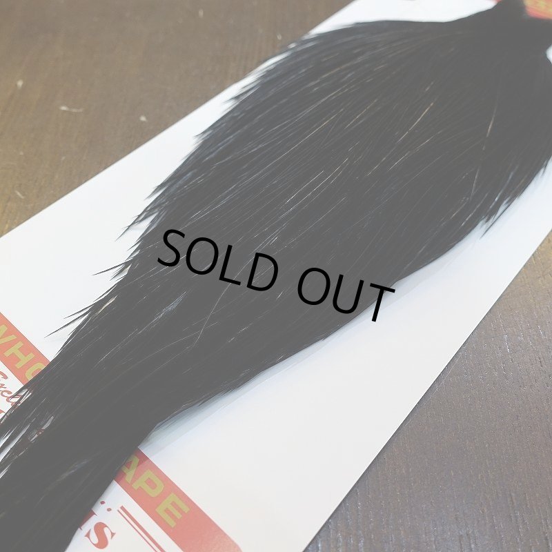 画像5: 【Whiting】ROOSTER CAPE Bronze Grade - DYED BLACK No.5 (5)