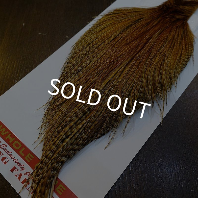 画像5: 【Whiting】ROOSTER CAPE Pro Grade - BARRED DK GINGER No.2 (5)