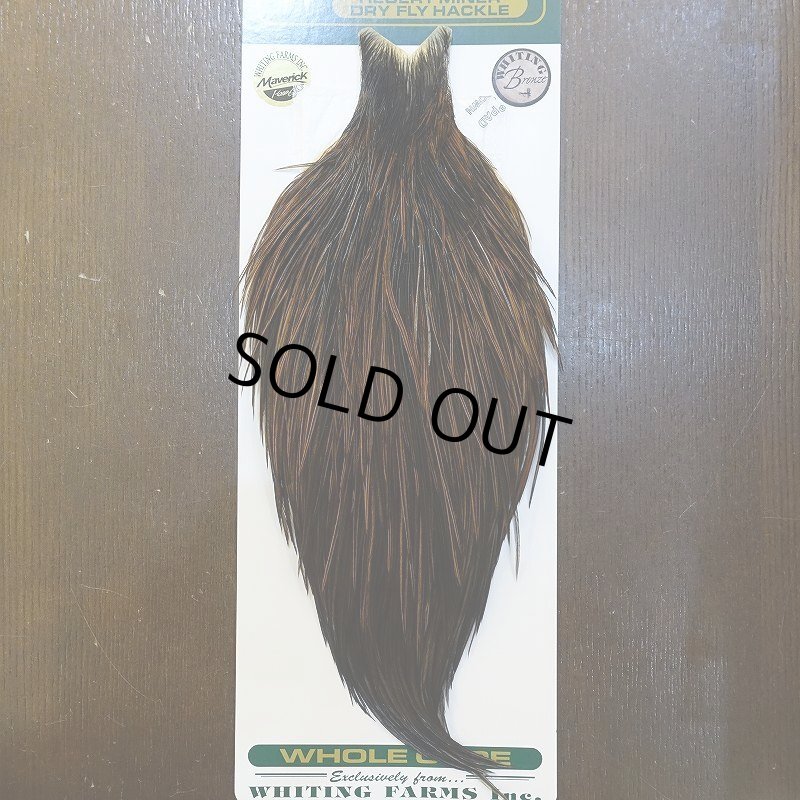 画像1: 【WHITING】Hebert ROOSTER CAPE Bronze grade - Furnace No.2 (1)