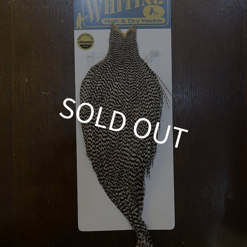 画像1: 【WHITING】High & Dry ROOSTER Cape - Grizzly No.1 (1)