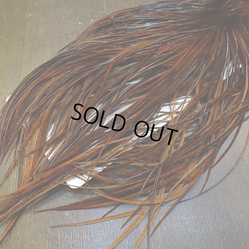 画像6: 【WHITING】High & Dry ROOSTER SADDLE - DYED COACHMAN BROWN No.1 #16 (6)