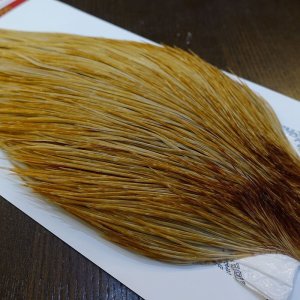 画像4: 【Whiting】ROOSTER CAPE Bronze Grade - HONEY DUN No.1