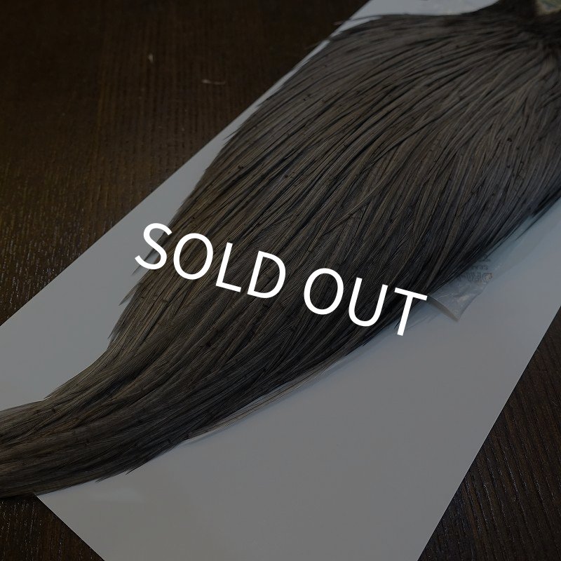 画像5: 【WHITING】High & Dry ROOSTER Cape - DYED MEDIUM DUN No.1 (5)