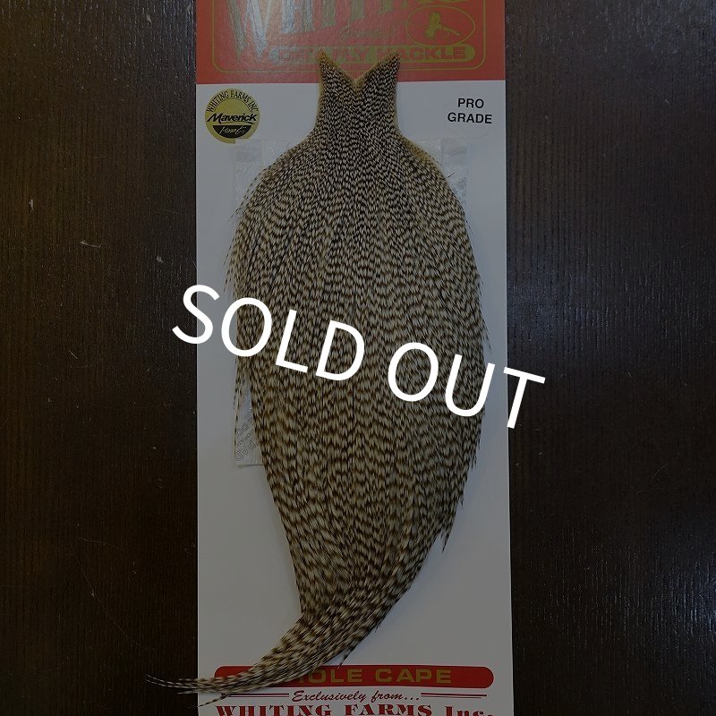 画像1: 【Whiting】ROOSTER CAPE Pro Grade - DUN Grizzly No.1 (1)