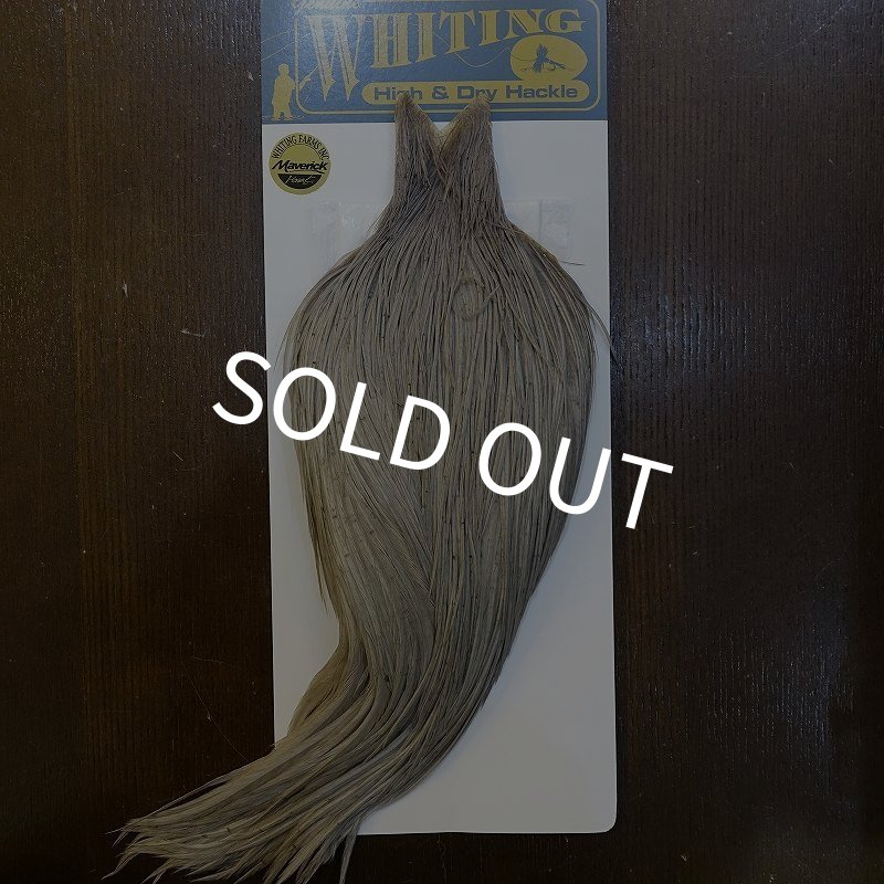 画像1: 【WHITING】High & Dry ROOSTER Cape - DYED MEDIUM DUN No.2 (1)