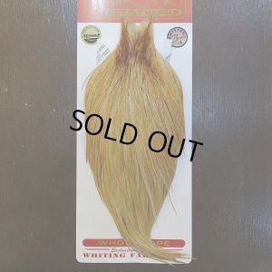 画像1: 【Whiting】ROOSTER CAPE Bronze Grade - HONEY DUN No.1