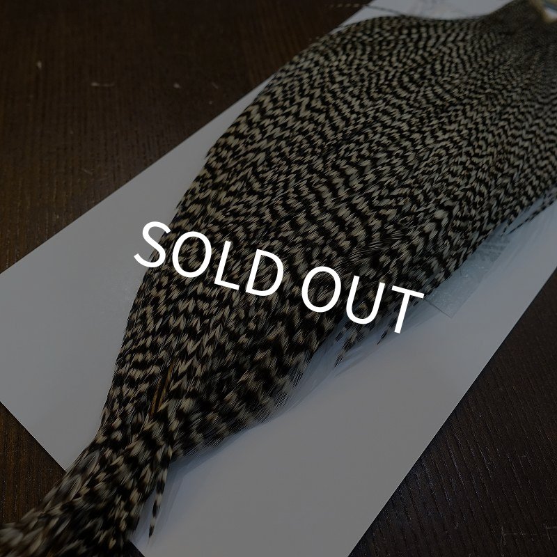 画像5: 【WHITING】High & Dry ROOSTER Cape - Grizzly No.1 (5)