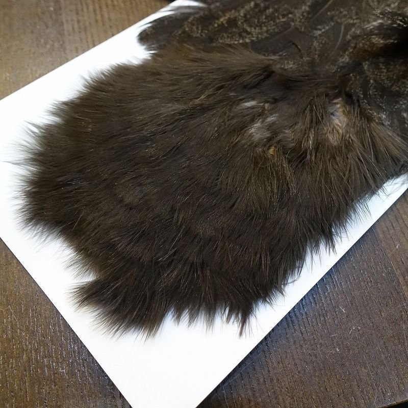 画像4: 【WHITING】Coq de Leon hen S/H Chickabou (4)