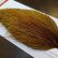 画像4: 【Whiting】ROOSTER CAPE Pro Grade - BARRED DK GINGER No.2 (4)