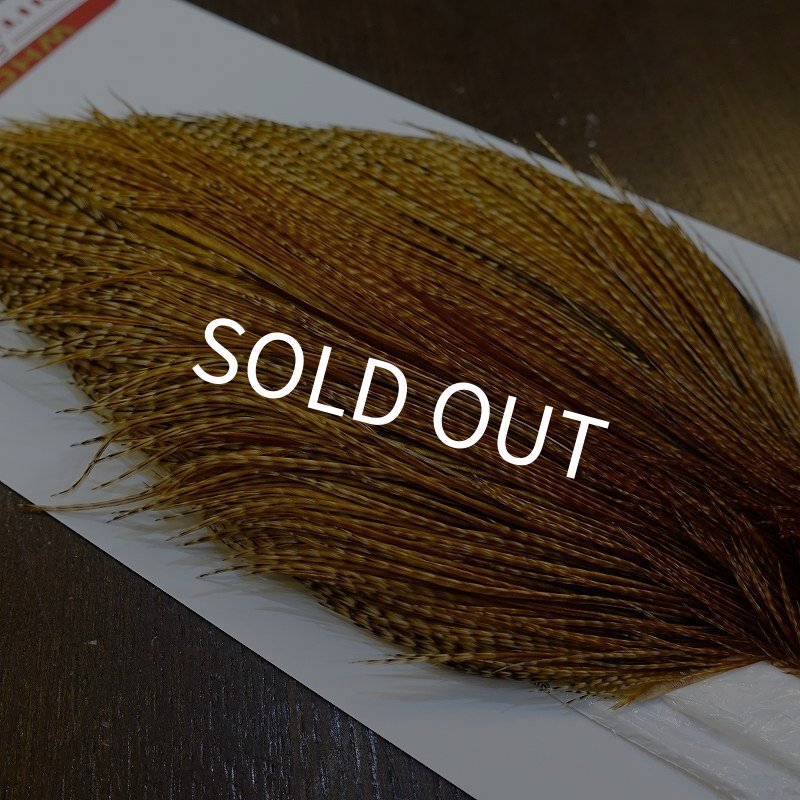 画像4: 【Whiting】ROOSTER CAPE Pro Grade - BARRED DK GINGER No.2 (4)