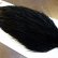 画像4: 【Whiting】ROOSTER CAPE Silver Grade - DYED BLACK No.2 (4)